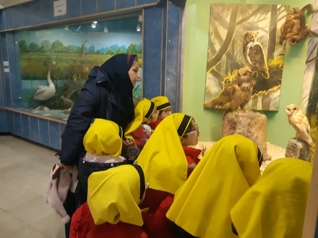 بازدید دانش آموزان پیش دبستان و پایه های اول و دوم از موزه جانورشناسی محیط زیست گیلان